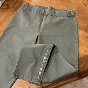 Soft Surrounding Olive Denim Jegging
